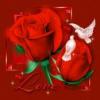 Resim